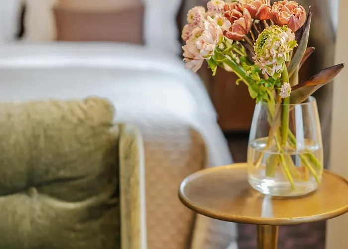 H15 Francuski Old Town - Destigo كراكوفيا