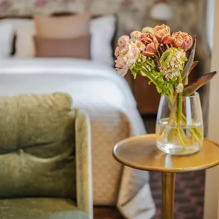 H15 Francuski Old Town - Destigo 克拉科夫