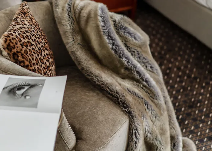 H15 Francuski Old Town - Destigo